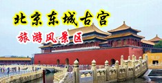 拍拍拍拍拍拍图拍拍图男人大鸡巴男人大鸡巴大鸡巴播放小播放才能放的中国北京-东城古宫旅游风景区
